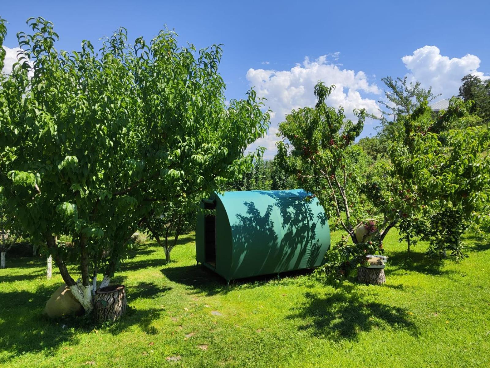 Nataly Campsite Yeghegnadzor Exterior photo