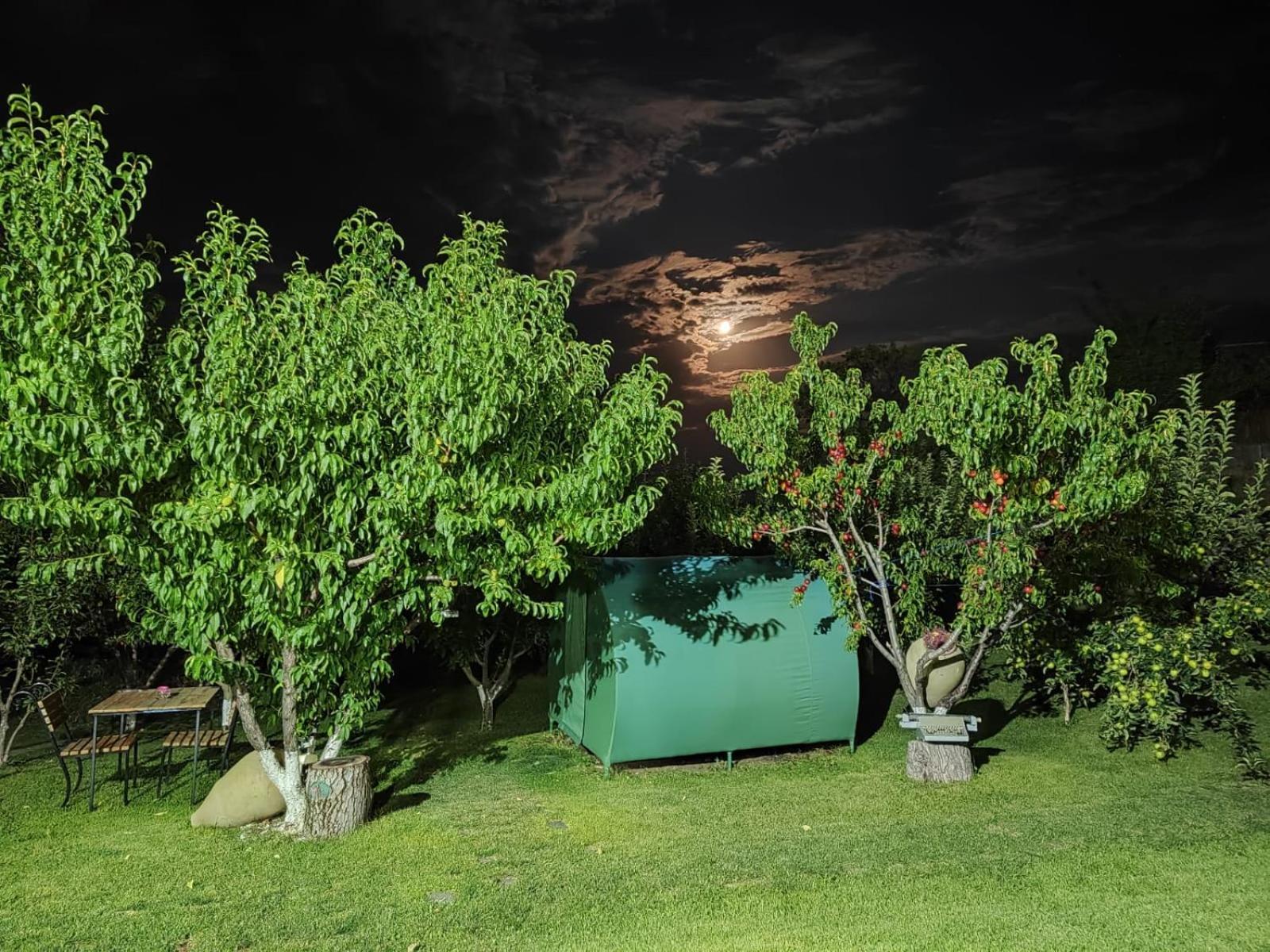 Nataly Campsite Yeghegnadzor Exterior photo